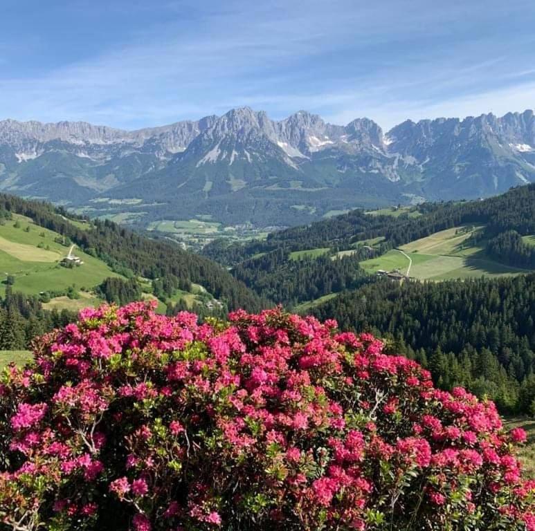 Апартаменты Angererhof Йохберг Экстерьер фото